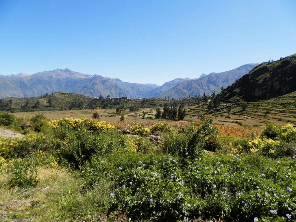 La Posada Del Conde กาบานากอนเด ภายนอก รูปภาพ